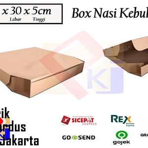 KARDUS KEBULI KECIL POLOS uk. 30x30x5 cm
