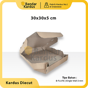 KARDUS CORRUGATED 30x30x5CM | DIE CUT | KOTAK KARTON | BOX PACKING PIZZA SOUVENIR PIZZA