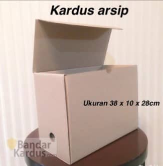 kardus arsip