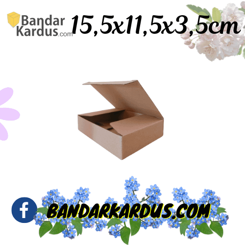 Kardus Corrugated 10x10x5CM 