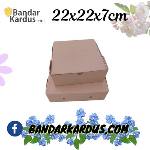 kardus kotak nasi