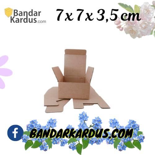 kardus box