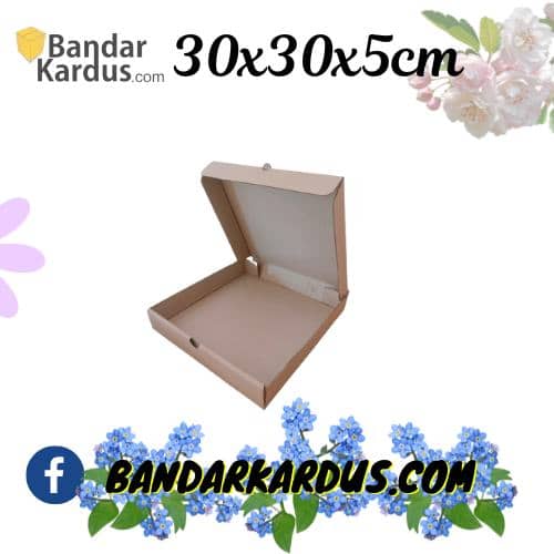 jual kardus pizza
