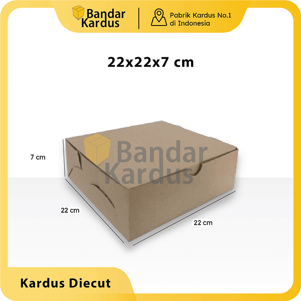 DUS KOTAK NASI CORRUCATED POLOS / BOX KUE CAKE / KATERING 22X22X7CM