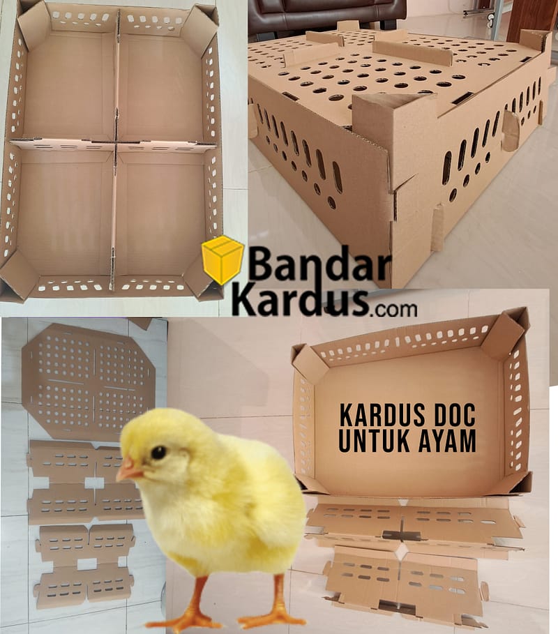 jual kardus doc