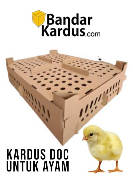 jual kardus doc