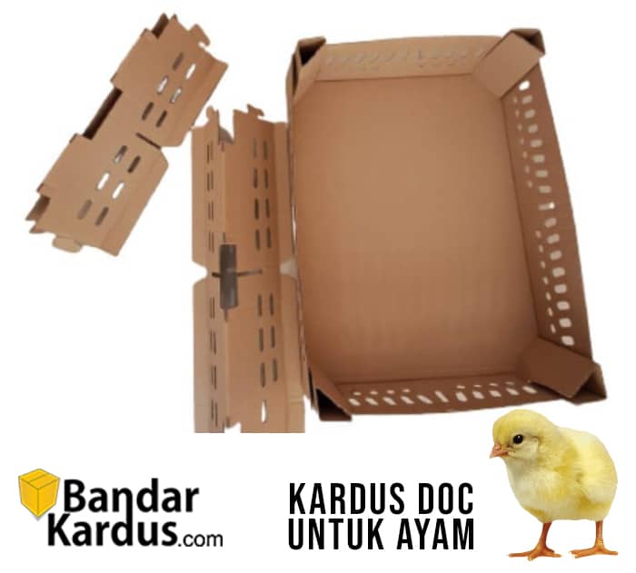 jual kardus doc